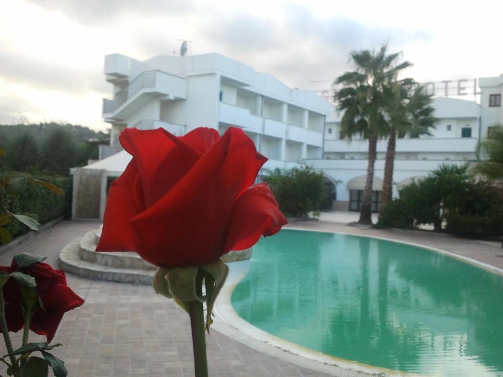 Hotel Magnolia Vieste Extérieur photo